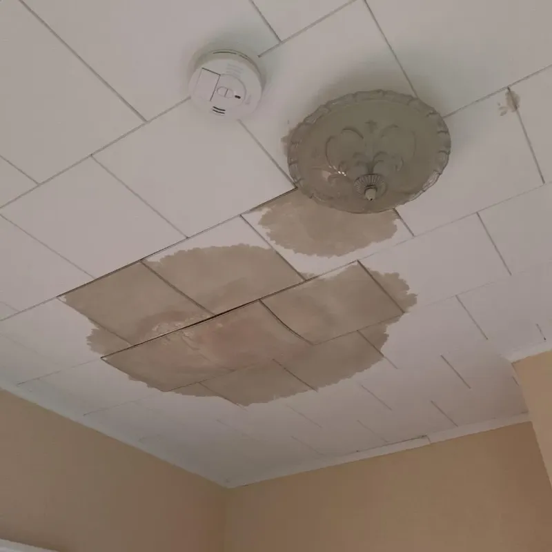 Ceiling Water Damage Repair in Dover, NH