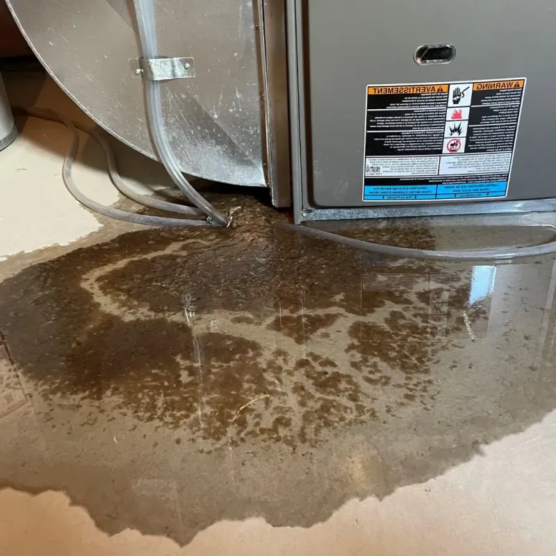 Pipe Burst and Leak Restoration in Dover, NH